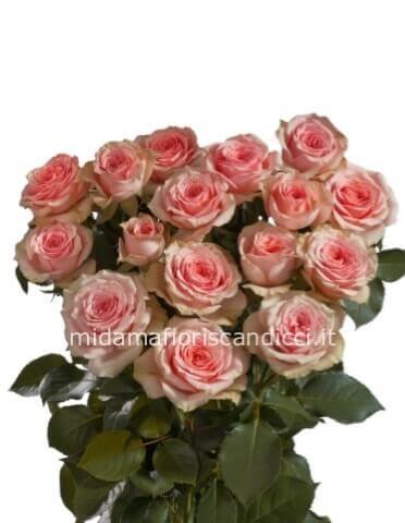 Bouquet di Rose Rosa – scegli il numero di steli