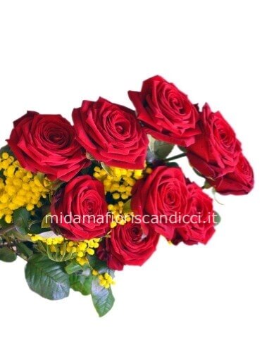 Da 3 Rose rosse a stelo lungo con mimosa