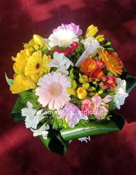 Bouquet esplosione di colori